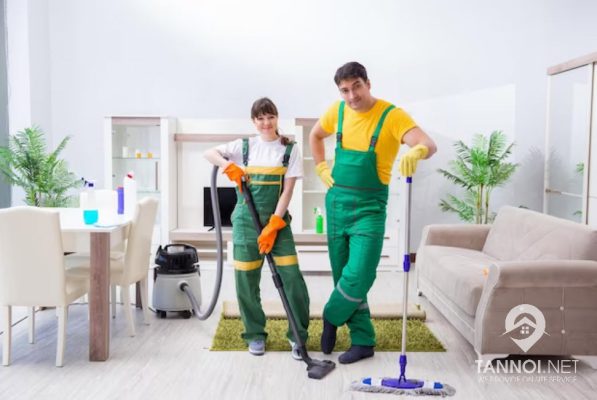 Domestic Help Services in District 1: Finding Reliable Assistance for Your Home