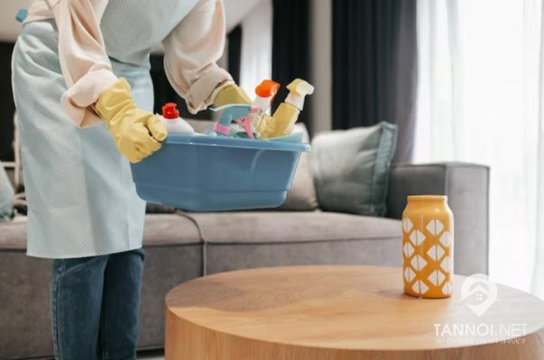 House Cleaning Tips and Techniques