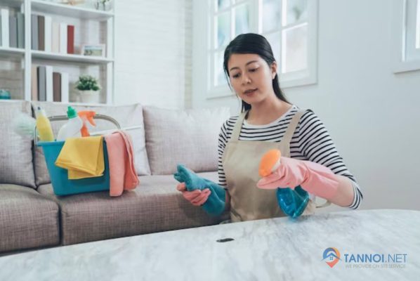 The Art of House Cleaning: Expert Techniques