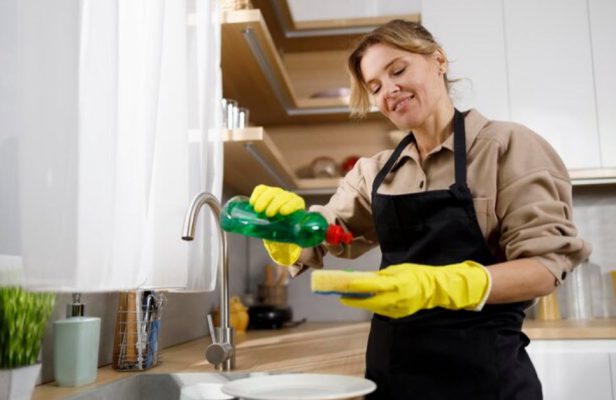 Why Choose Professional House Cleaning?