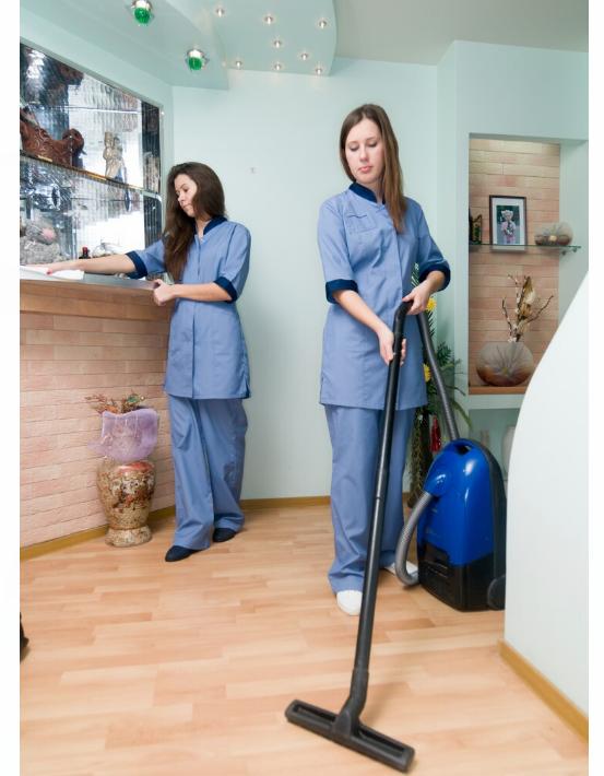 Choosing Top-Quality Professional House Cleaning Services