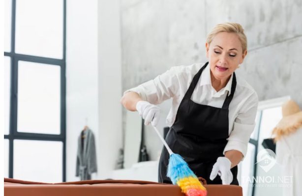 Efficient Maids Services for a Stress-Free Home